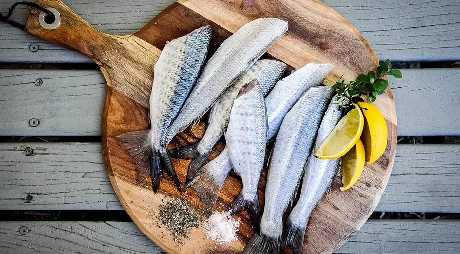 à la pêche au pouvoir